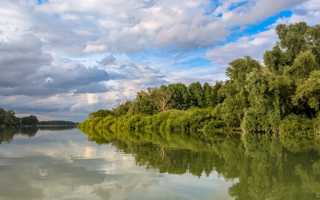Tag 24 – Drei Schleusen auf dem Rhein