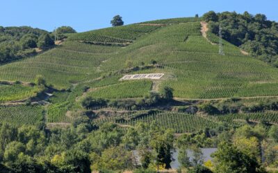 Tag 06 – Weinberge – bis Vienne